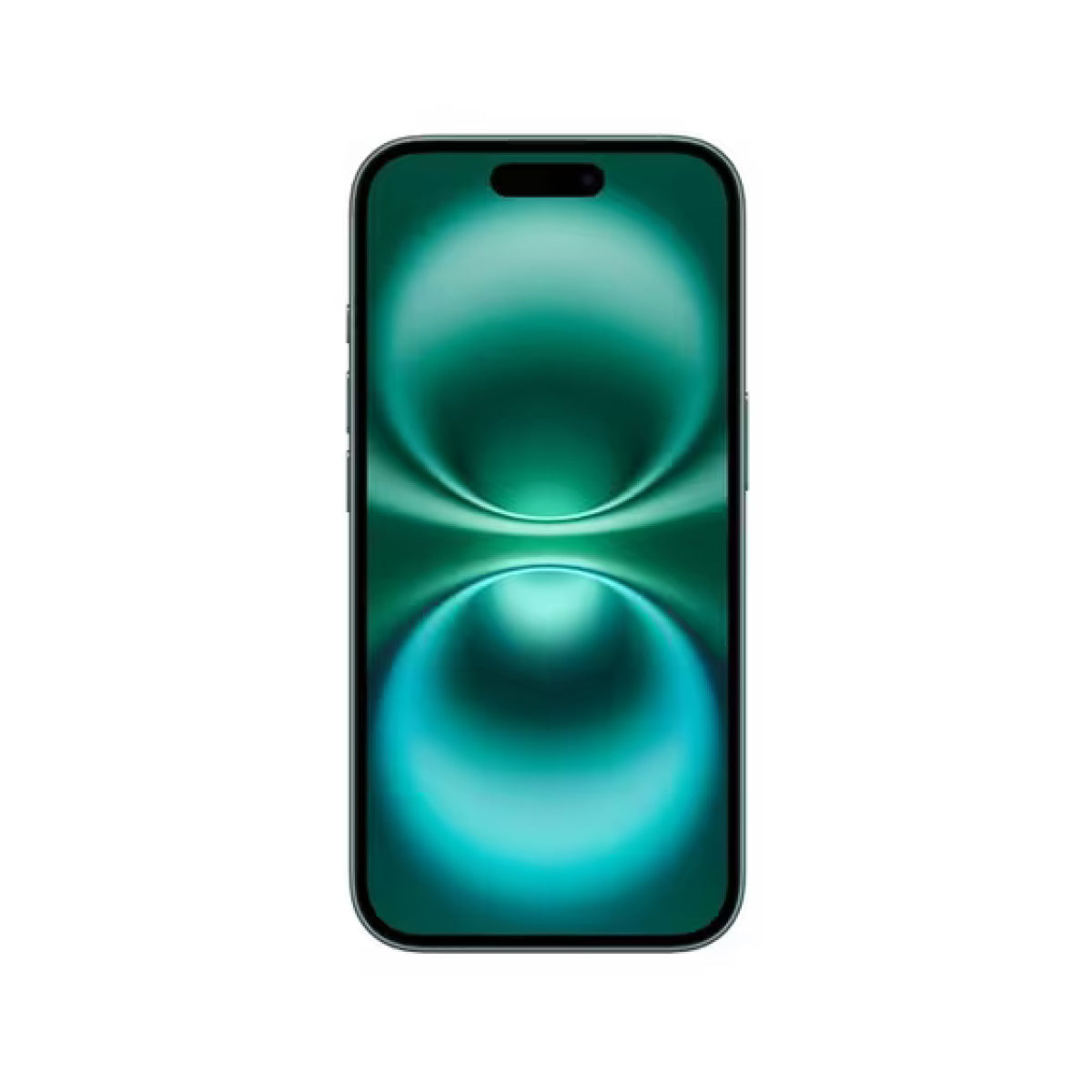 iPhone 16 Plus
